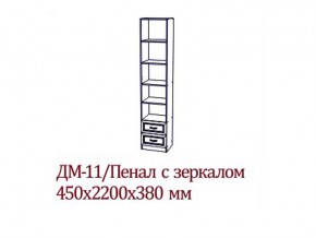 ДМ-11 Пенал с зеркалом в Карпинске - karpinsk.магазин96.com | фото