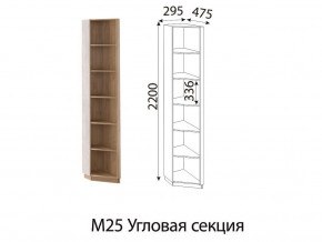 М25 Угловая секция в Карпинске - karpinsk.магазин96.com | фото