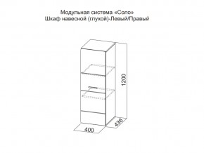 Шкаф навесной (глухой) Левый в Карпинске - karpinsk.магазин96.com | фото