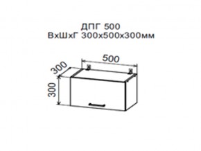 Шкаф верхний ДПГ500 горизонтальный в Карпинске - karpinsk.магазин96.com | фото