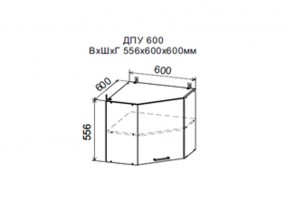 Шкаф верхний ДПУ600 угловой в Карпинске - karpinsk.магазин96.com | фото