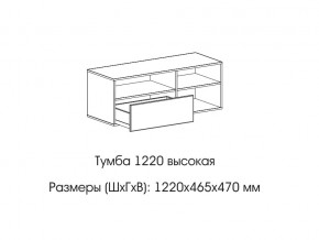 Тумба 1220 (высокая) в Карпинске - karpinsk.магазин96.com | фото